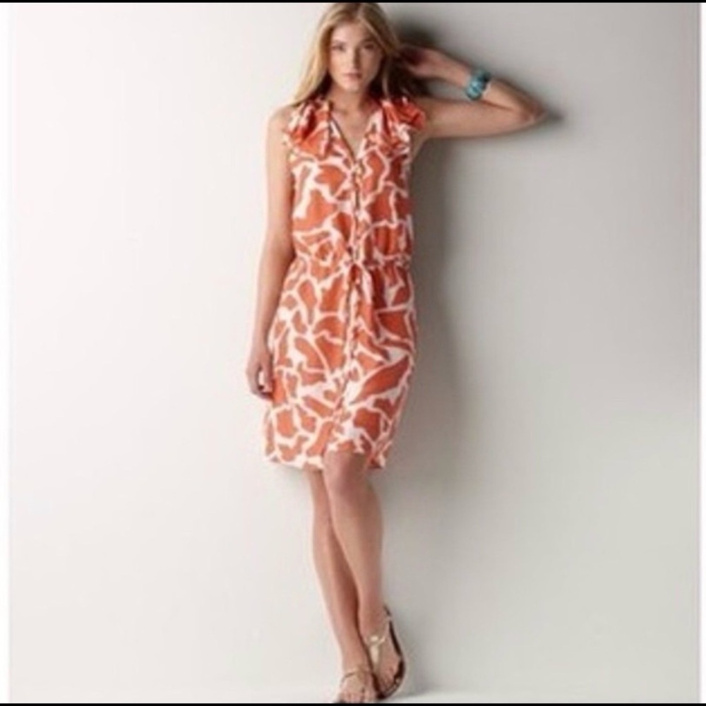 Ann Taylor Giraffe Print Sleeveless Ruffle Sleeve 100% Silk Dress Size 2P Spring - Picture 12 of 12